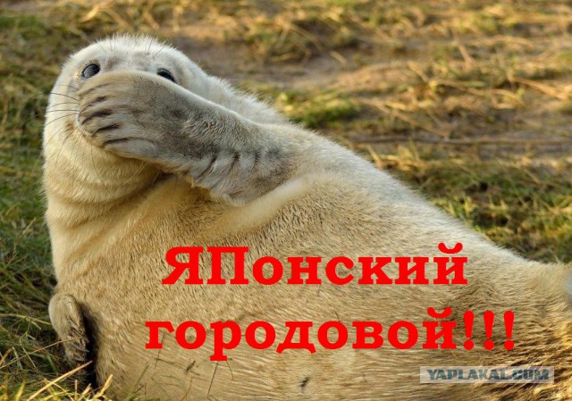 Я расскажу вам как долго не качать