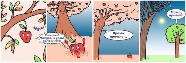 Прикольные картинки