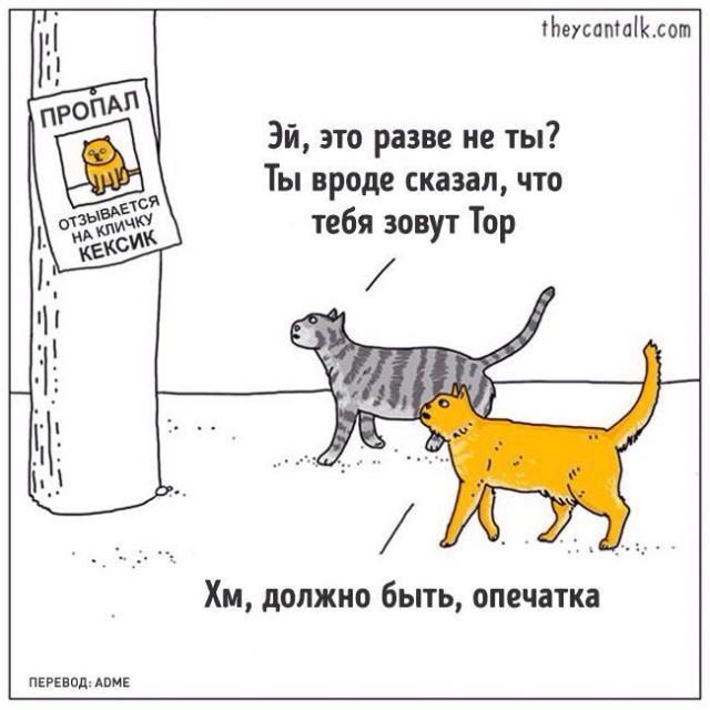 Весёлые картинки