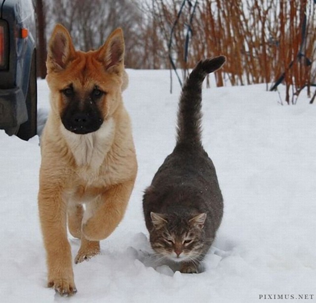 Что не так с этим миром?