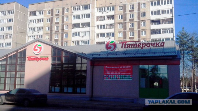 За одно лето!