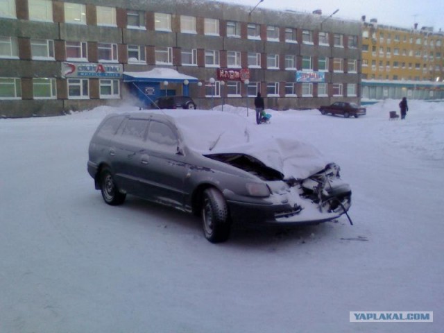 Подснежники гробы. г. Норильск