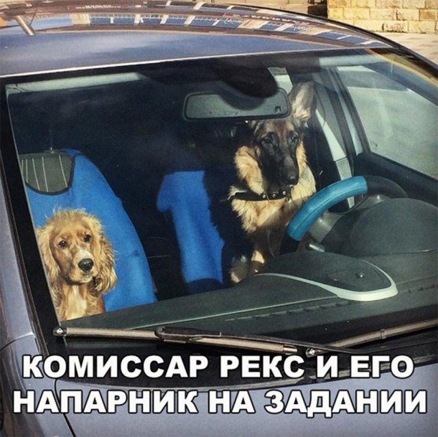 Нестандартный юмор