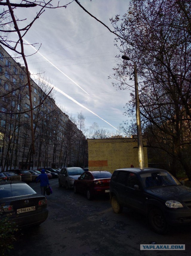 Девушка сфотографировала как травят москвичей
