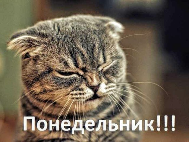 Картинки с надписями и анекдоты