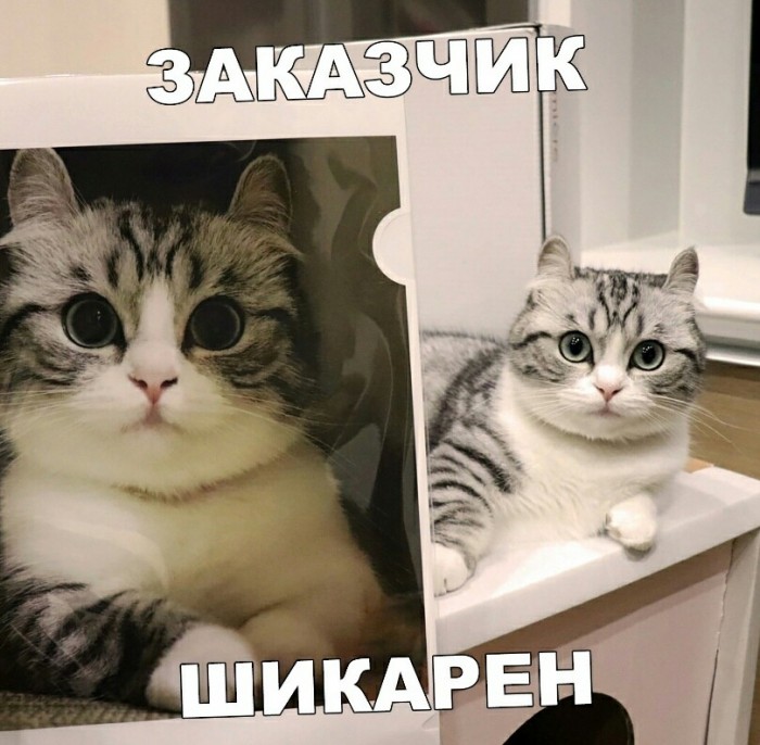 «Картинки разные нужны, картинки разные важны»