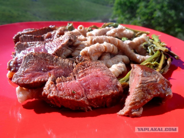 Лапша лугового флота свободного выгула