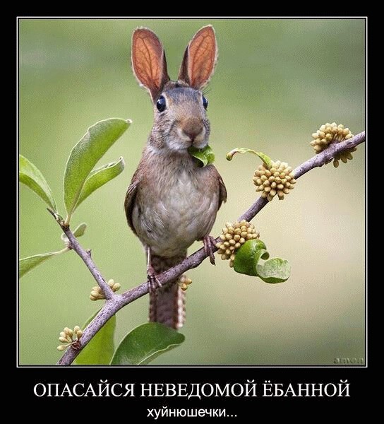 Бредзона 03.05.20