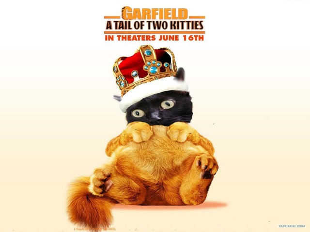 Киса хочет жабы