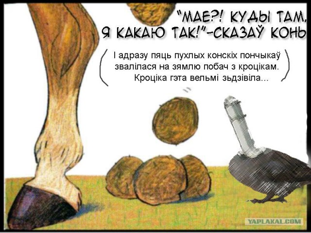 Джек-воробей
