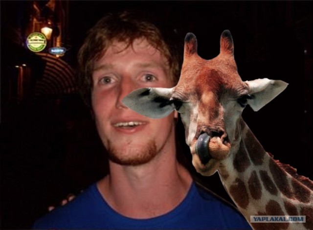 Вытянулась: картинка и 2 жабы