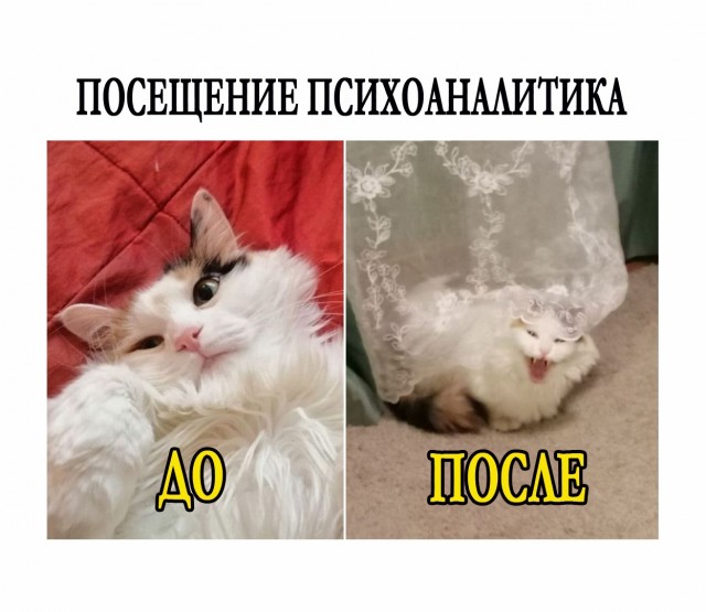 Весёлый полтишок 14.03