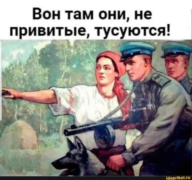 Пандемия. Коронавирус. Россия и мир. Последняя информация. Часть 22