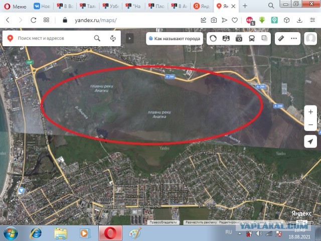 В Анапе что-то гадкое и черное льется из реки в море. Но всем пофигу