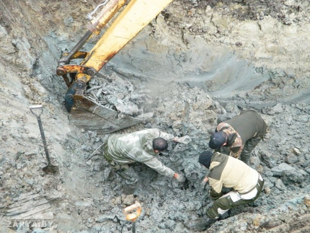 В Брестской области найден самолет с телом советского летчика