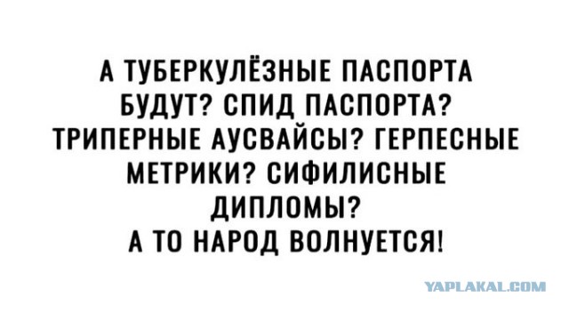 Весёлый полтишок 07.11