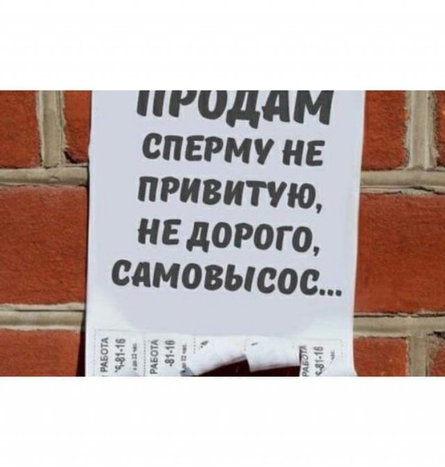 Всяческие картинки 19.11.2021