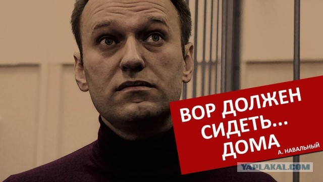 Дочь Алескея Навального получила за отца премию имени Сахарова