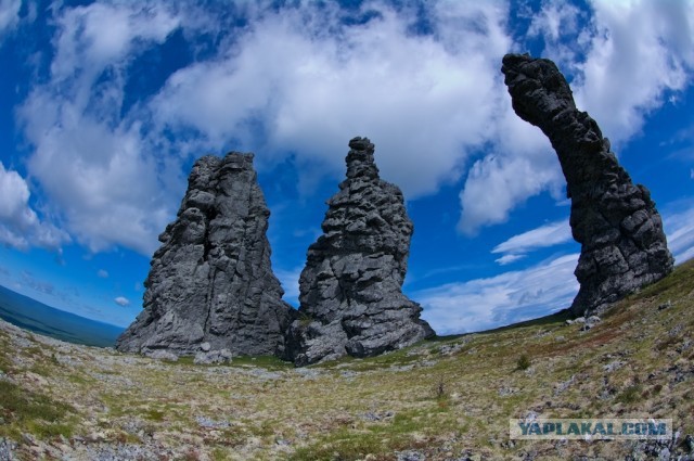 Болваны, я восьмой