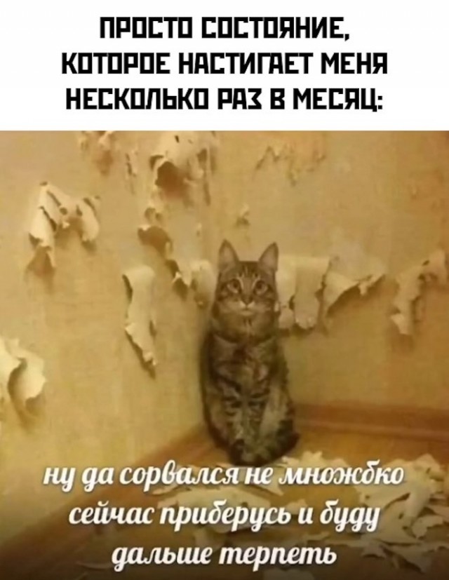 Так себе картинки 11.02.22