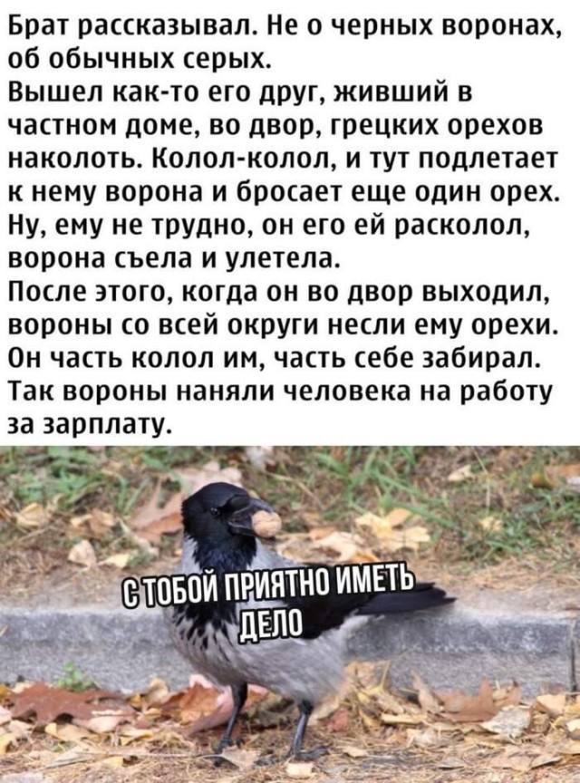 Картинки и мемы для настроения - 22
