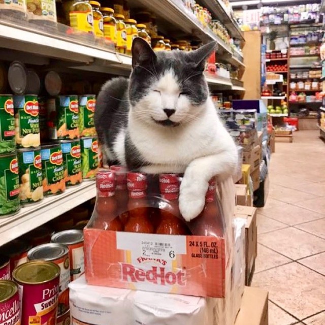 Обнаружены истиные владельцы магазинов - НарКотКонтроль