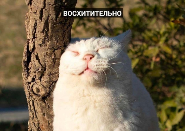 Так себе картинки 29.04.22