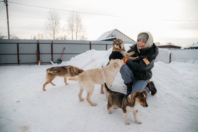 Помните кобылку?