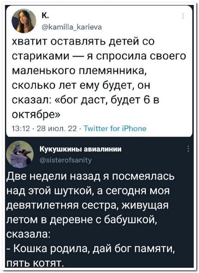 Забавные комментарии из социальных сетей (22.08.22)