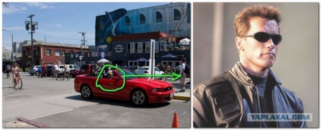 Калифорния.