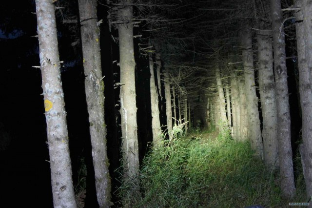 Экспедиция Тамбов-Карелия (бесов нос).