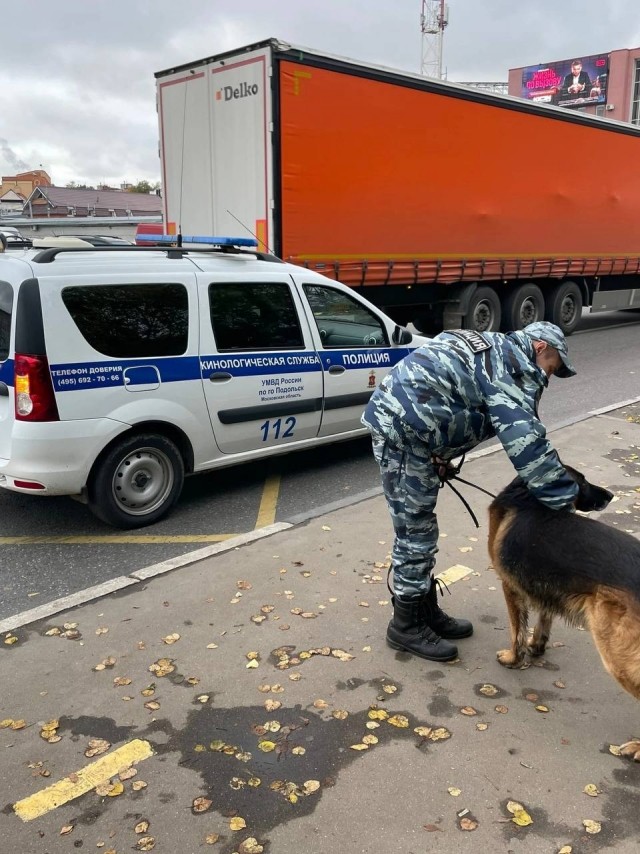В Подольске хозяин овчарки уехал по мобилизации, а пес остался лежать прямо у военкомата
