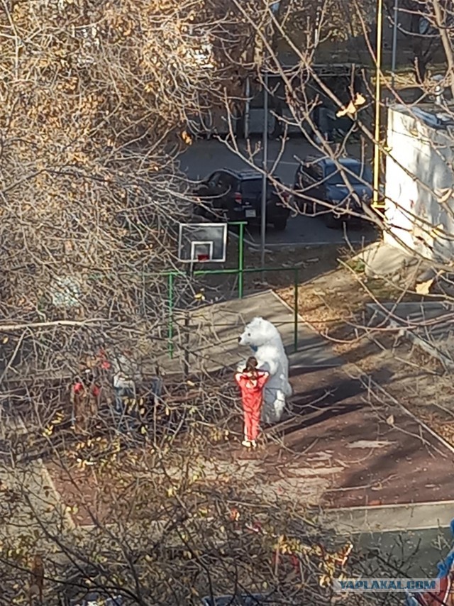 Немного позитива