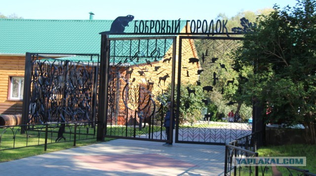 Дорога к бобру