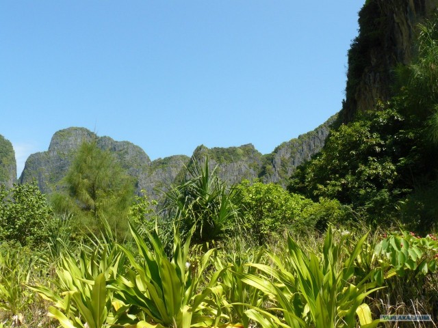 Немного Тая