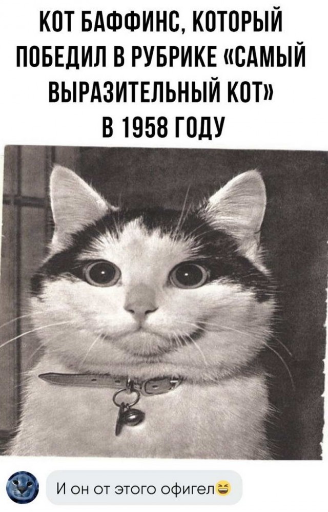 Немного картинок для настроения - 131