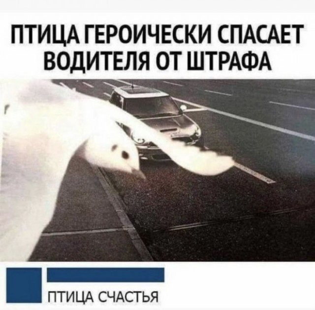 Картинки и мемы, всяко - 169