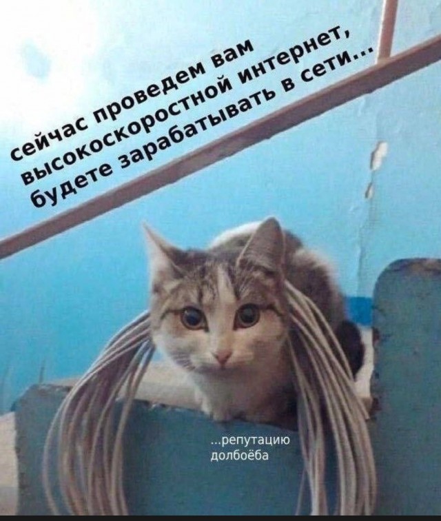 Жить ли с РСП?