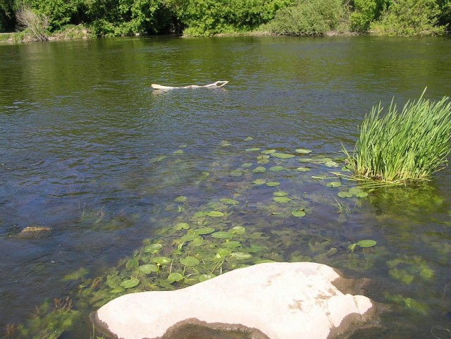 Сплав. Южный Буг.