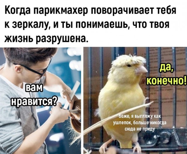Стрижка