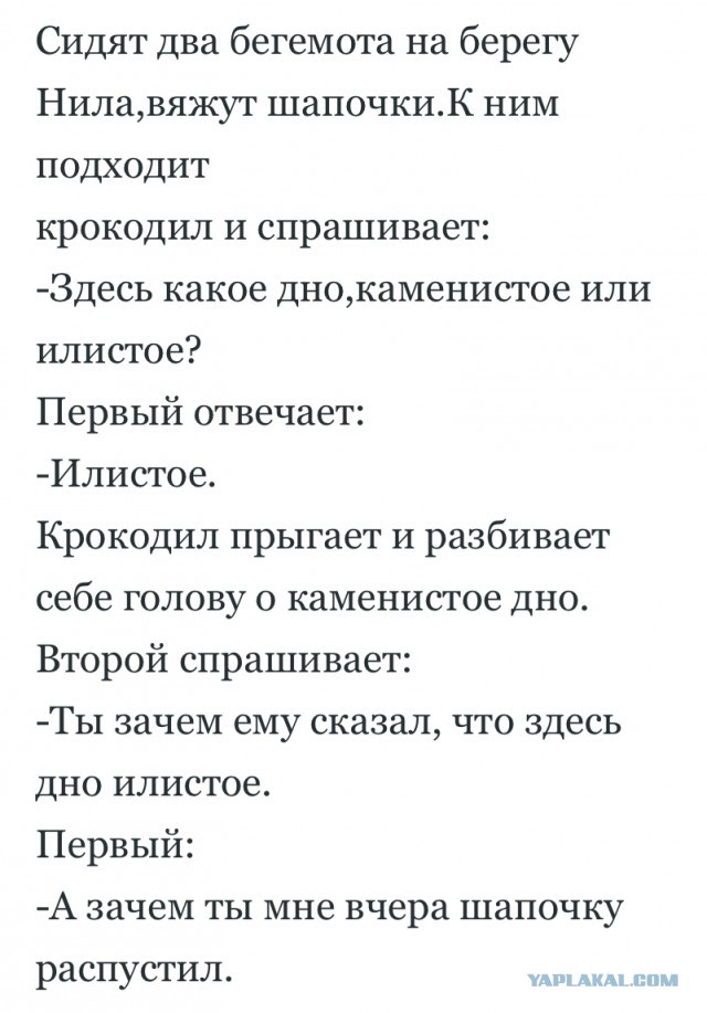 Дугин: «России нужны цензура и репрессии»