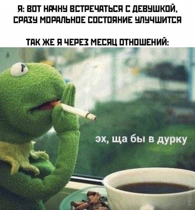 Картинки из Дристоля