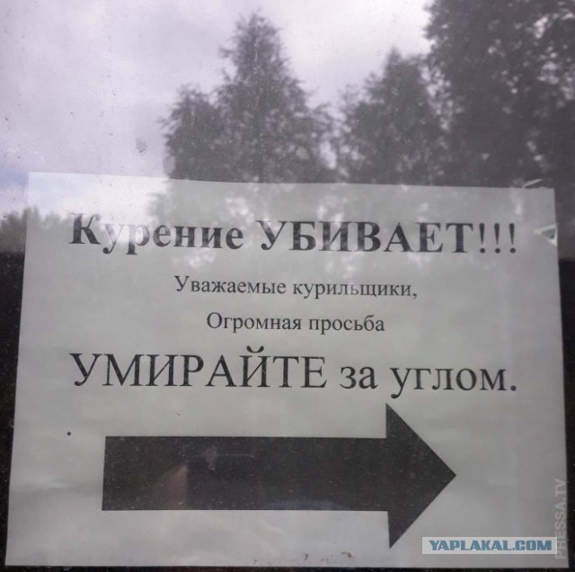 Забавные картинки ...