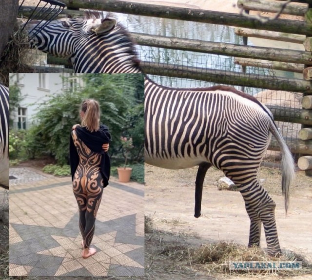 Юмор в картинках и без