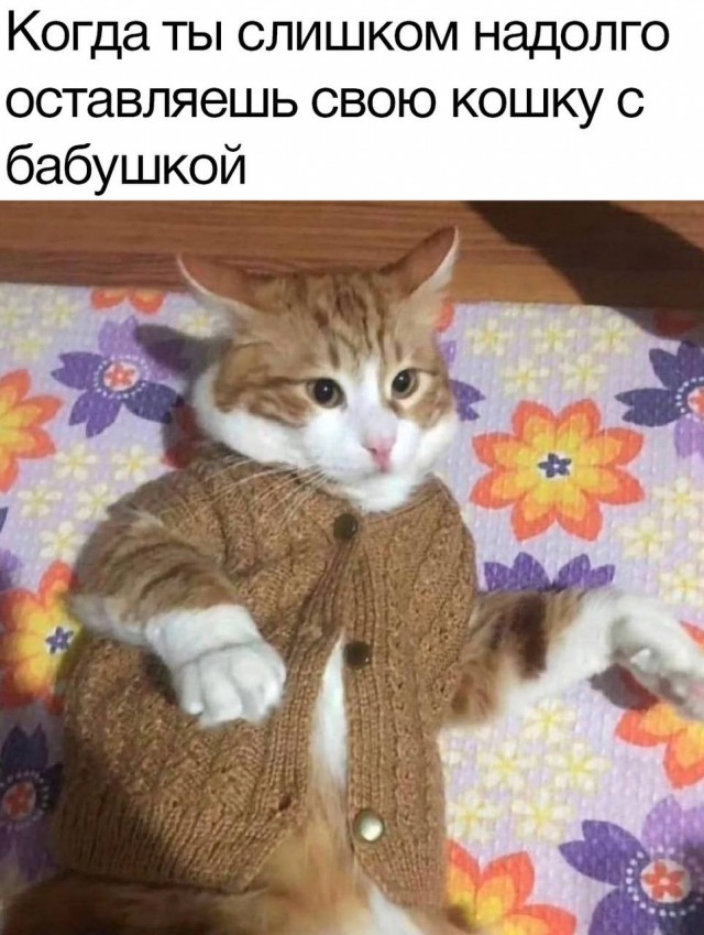 Просто картинки