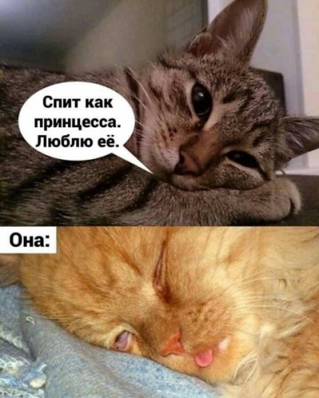 Маленькая пятница