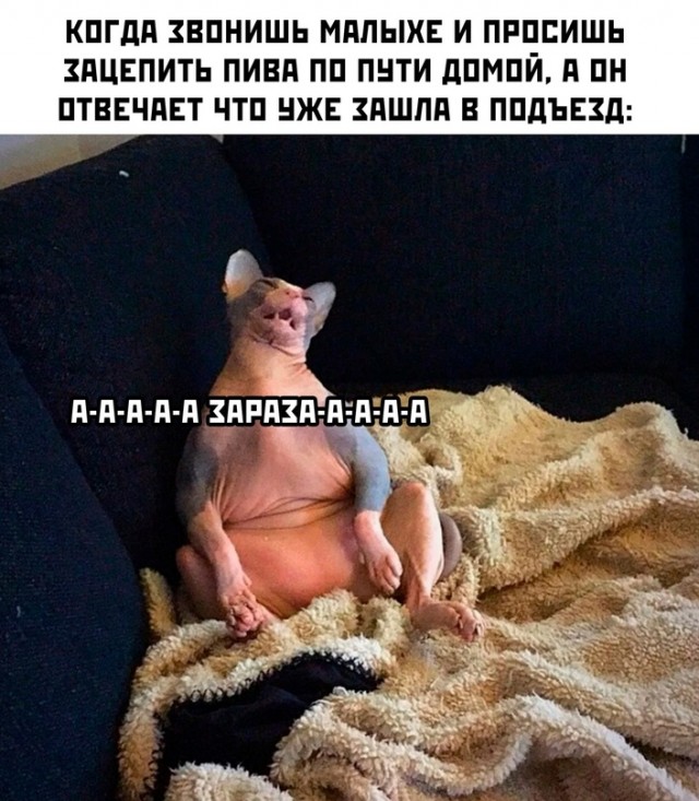 Весёлый полтишок 29.01.24
