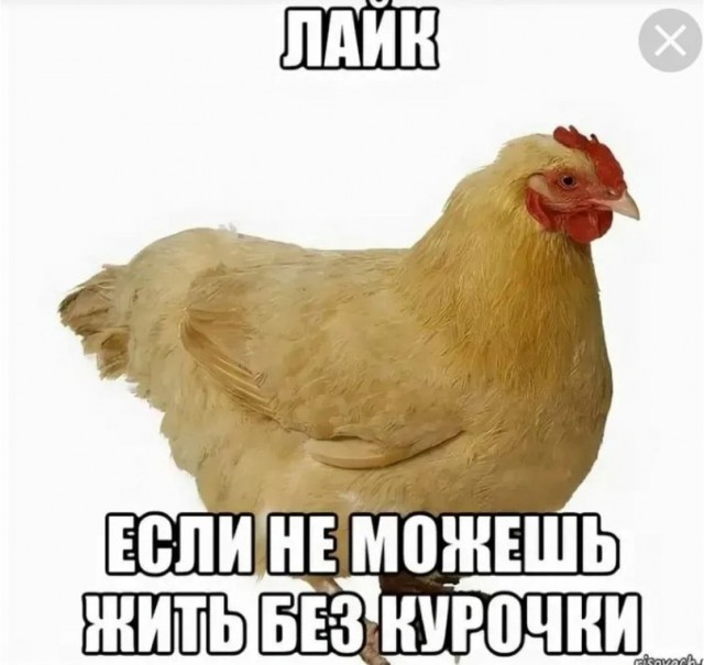 «Цыплёнок табака» или правильно "тапака": история гастрономического удовольствия в СССР