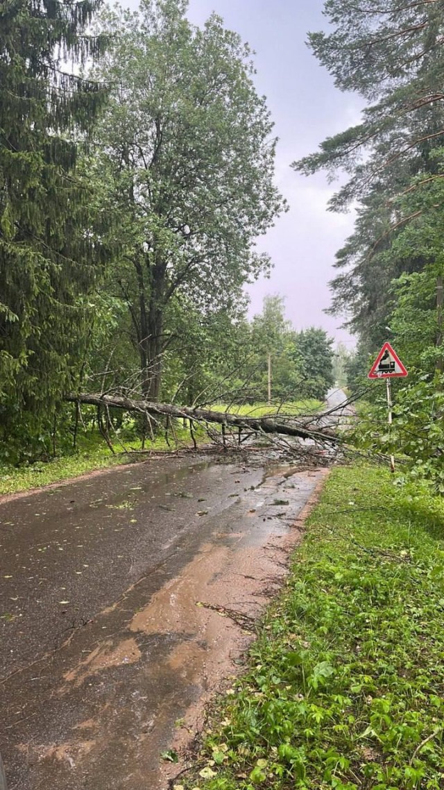 Ураган накрыл север и запад Московской области. Дошло и до Москвы
