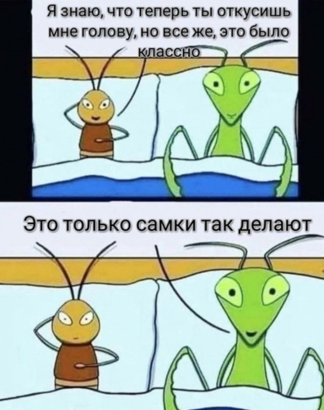 Веселые картинки к пятнице (30.08)